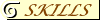 skills.gif (1521 bytes)